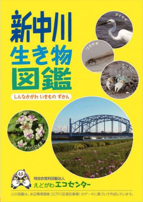 新中川生き物